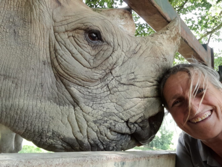 Save the Rhino