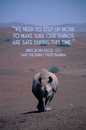 Save the Rhino